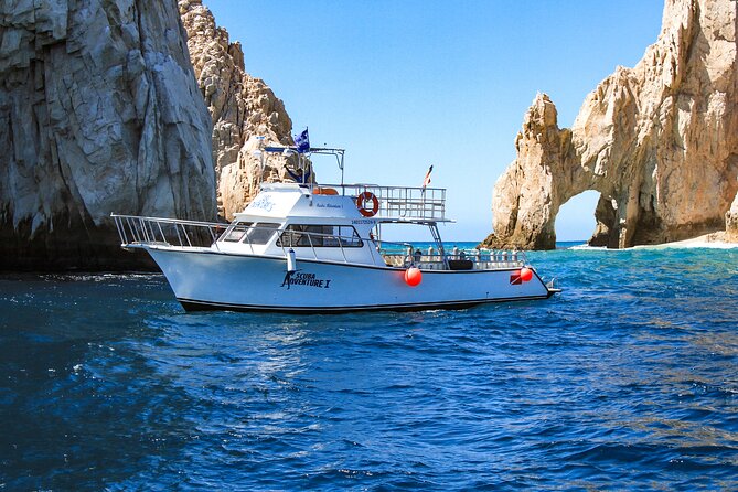Cabo San Lucas Certified 2 Tank Dive at the Famous Arch and Land's End - Who will get the most from this Cabo outing?