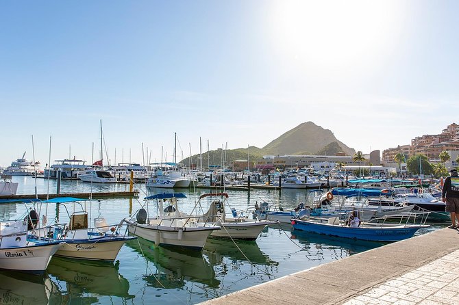 Cabo San Lucas City Tour - Key points to know before you book