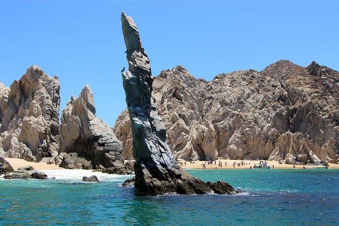 Cabo San Lucas city tour and amazing sea adventure to Lands End! - Key points at a glance