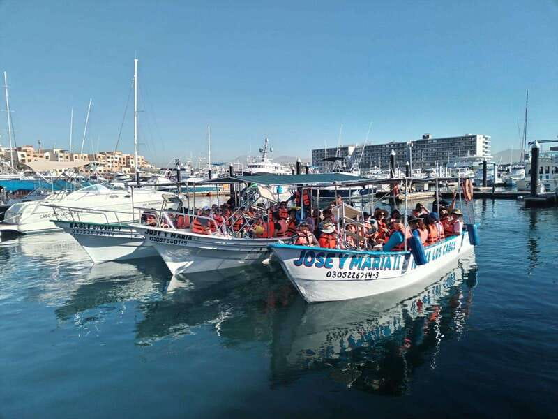 Cabo San Lucas: Classic Tour to the Arch in Glass Bottom - Seeing the Arch from the water