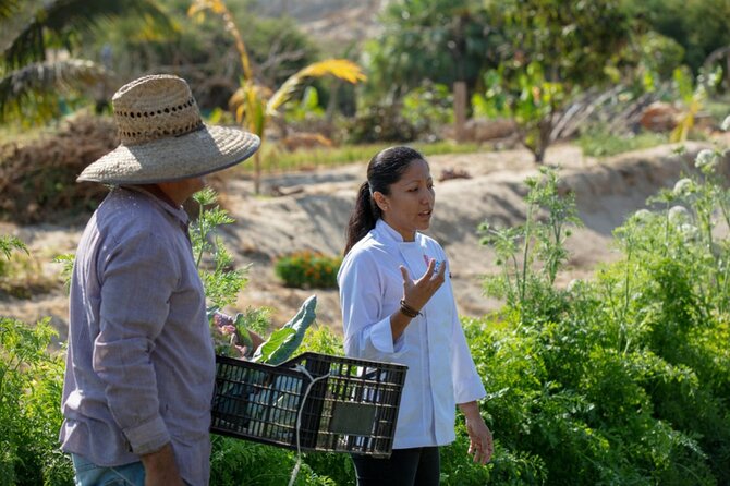 Cabo San Lucas Cooking Classes by Chef Ari - Who will enjoy this Cabo cooking class most