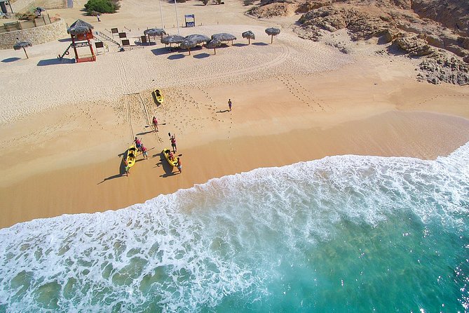 Cabo San Lucas Glass Bottom Kayak Tour and Snorkel at Two Bays - Why a kayak is the smart way to see Cabo’s coves