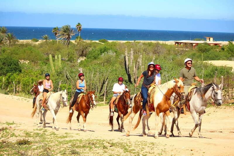 Cabo San Lucas: Horseback Riding in Migriño with Transfers - Two hours through Baja desert and beach