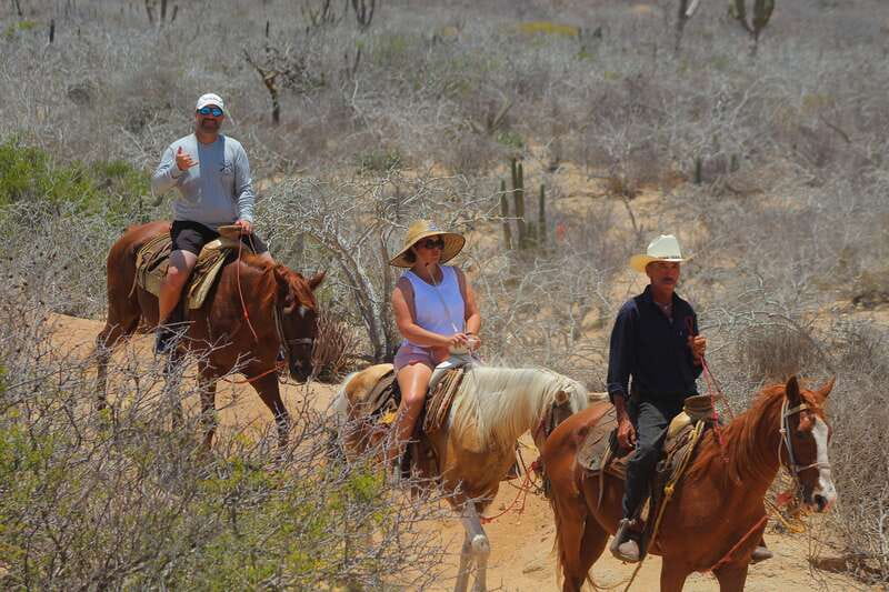 Cabo San Lucas: Horseback Riding in Migriño with Transfers - The people who shape the experience