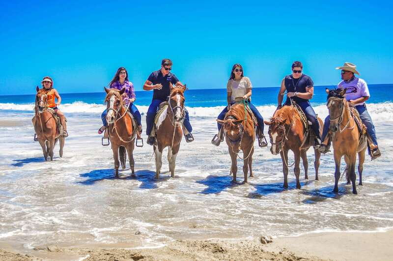 Cabo San Lucas: Horseback Riding in Migriño with Transfers - What happens after the ride