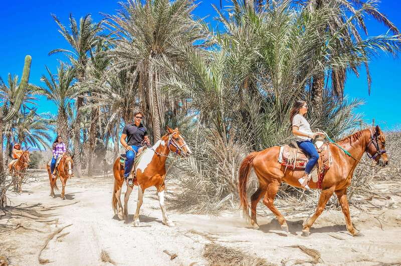 Cabo San Lucas: Horseback Riding in Migriño with Transfers - Is $87 a fair price?