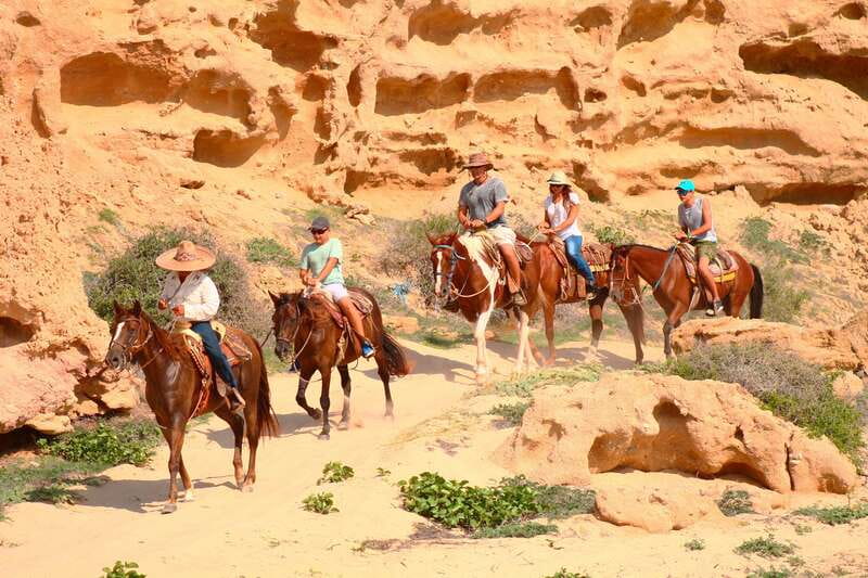 Cabo San Lucas: Horseback Riding in Migriño with Transfers - Who should book this Migriño ride?