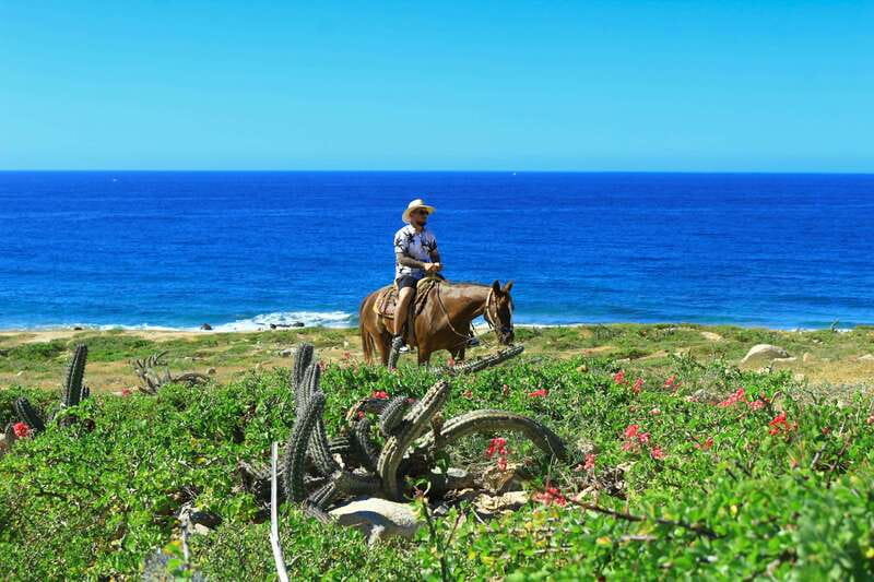 Cabo San Lucas: Horseback Riding in Migriño with Transfers - Booking tips for a smoother ride