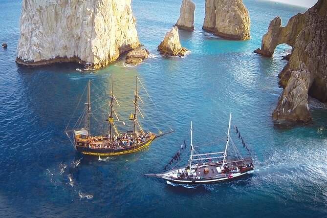 Cabo San Lucas Humpback Whale Watching Tour - What kind of whale watching trip is this?