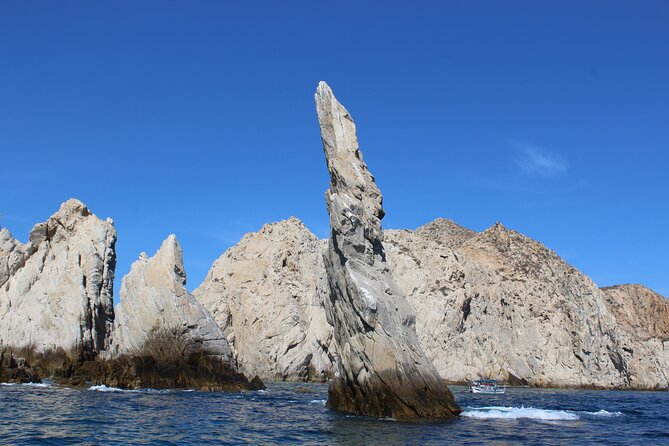 Cabo San Lucas Humpback Whale Watching Tour - Who will enjoy this Cabo cruise most?