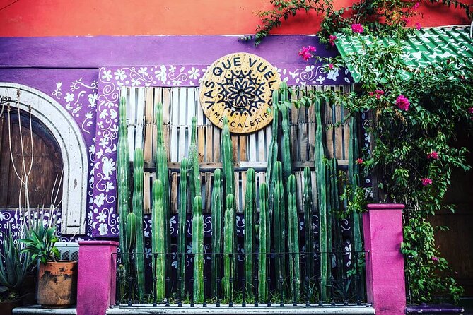 Cabo San Lucas Mezcal Tasting and Cocktail Class - Timing, meeting details, and practical planning