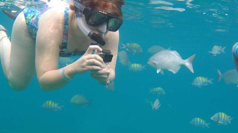 Cabo san Lucas: Paddle Boarding or Kayak and Snorkeling - What the $78 price really covers