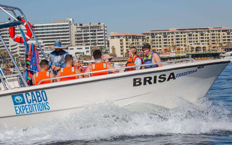 Cabo San Lucas: Parasailing Experience - Weather and the Captain’s Decision