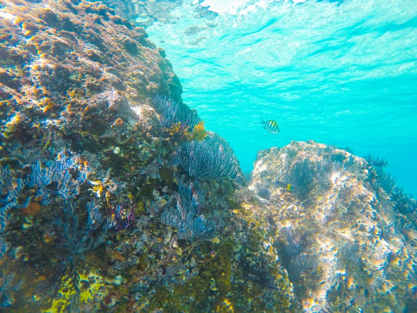 Cabo San Lucas: Private Catamaran Tour with Snorkeling - Who will enjoy this catamaran most