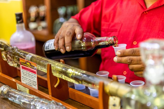 Cabo San Lucas Shopping, Tequila Tasting, and Snorkel Tour - Snorkeling at Santa Maria or Chileno Bay
