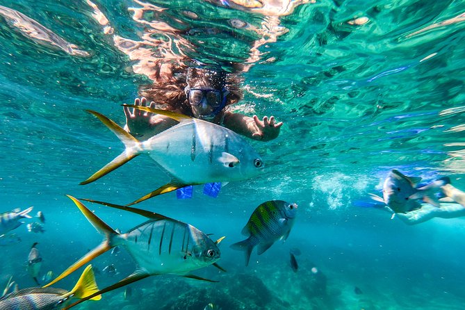 Cabo San Lucas Shopping, Tequila Tasting, and Snorkel Tour - Glassblowing first, with a short shopping stop