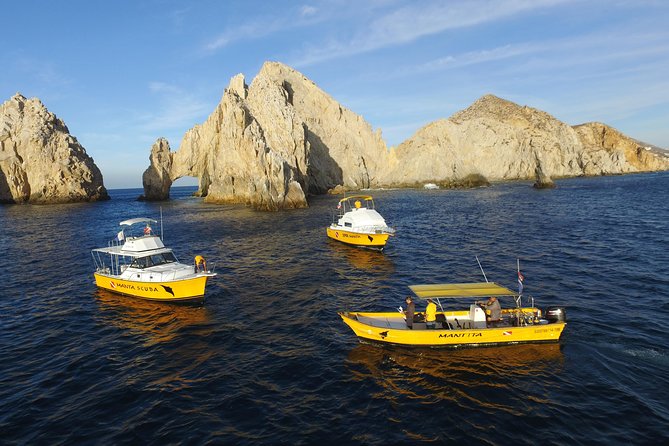 Cabo San Lucas Short Snorkeling Tour with Divemaster Guide - Who should book this Cabo snorkeling trip?