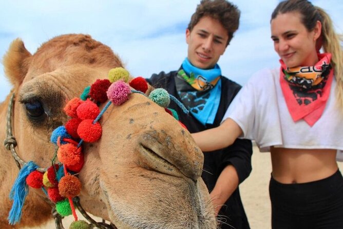 Cabo San Lucas Side by Side and Camel Riding Adventure - Key points at a glance