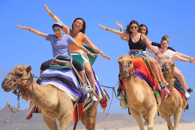 Cabo San Lucas Side by Side and Camel Riding Adventure - Transport, lockers, and the practical side