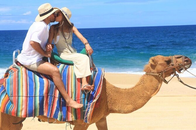 Cabo San Lucas Side by Side and Camel Riding Adventure - Who will get the most from this Cabo outing