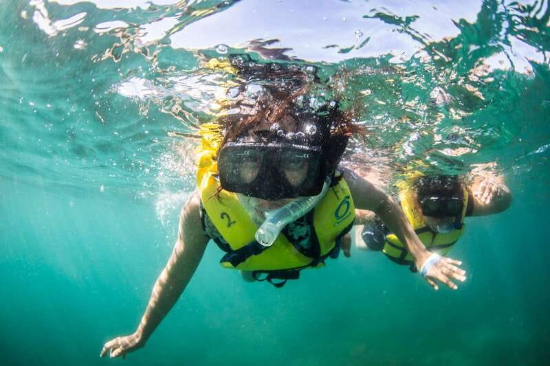 Cabo San Lucas: Snorkel, Lunch and Sail Experience - From Cabo Marina to the Arch