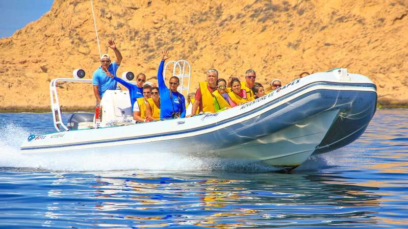 Cabo San Lucas: Snorkel, Paddle-board, and/or Kayak Tour - Key points at a glance