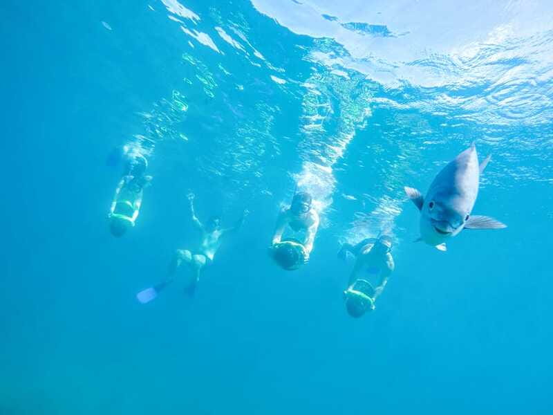 Cabo San Lucas: Snorkel, Paddle-board, and/or Kayak Tour - Cabo’s beaches, homes, sea lions, and the Arch