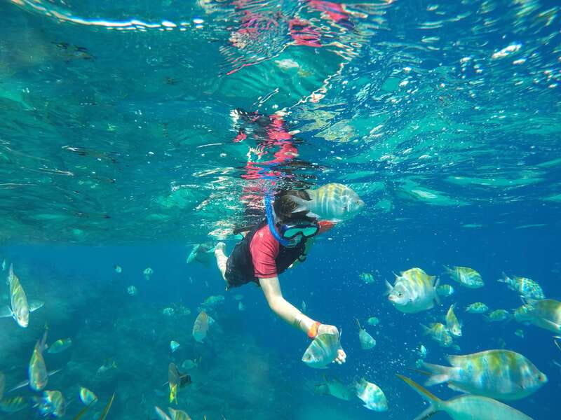 Cabo San Lucas: Snorkel, Paddle-board, and/or Kayak Tour - What to bring and how to prepare