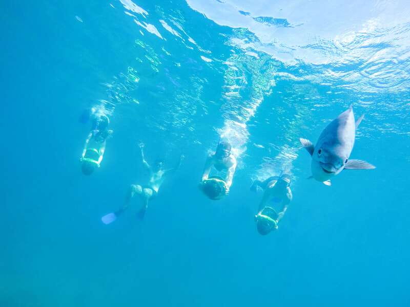 Cabo San Lucas: Snorkel, Paddle-board, and/or Kayak Tour - Getting from your pickup point to Cabo San Lucas Bay