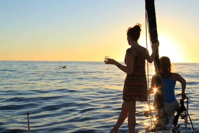 Cabo San Lucas Sunset Sailing Shared Cruise - Practical details before you go