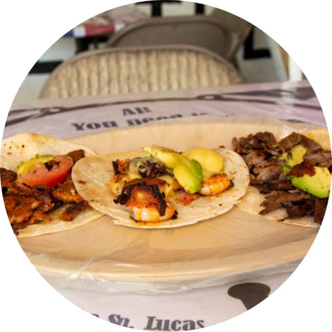 Cabo San Lucas: Taco Safari Tour - First stop: seafood in a small oasis