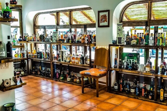 Cabo San Lucas Tequila Tasting Experience - Six tequilas, three mezcals, and plenty to compare