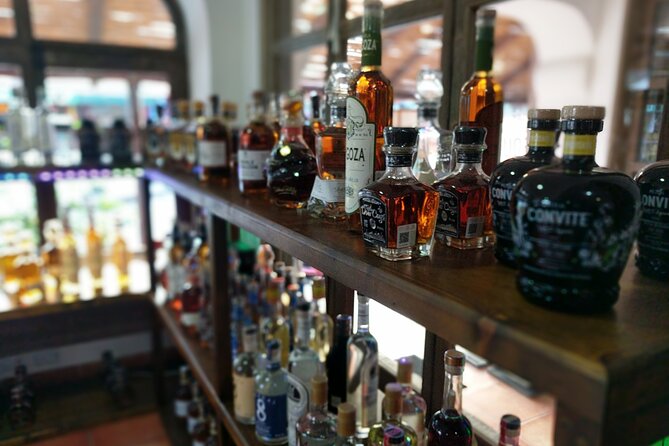 Cabo San Lucas Tequila Tasting Experience - Why the central Cabo location works well