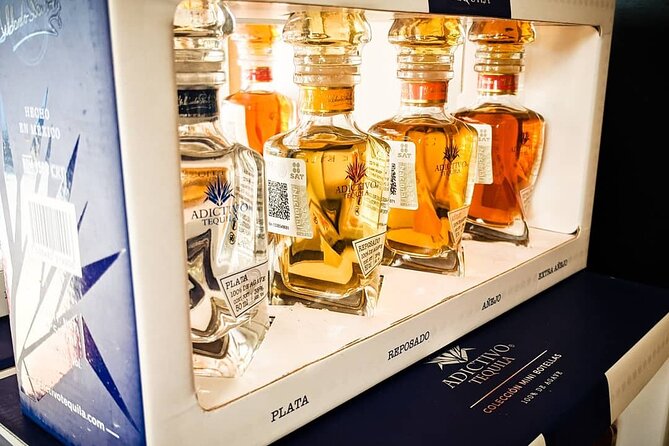 Cabo San Lucas Tequila Tasting Experience - Practical details that affect your choice