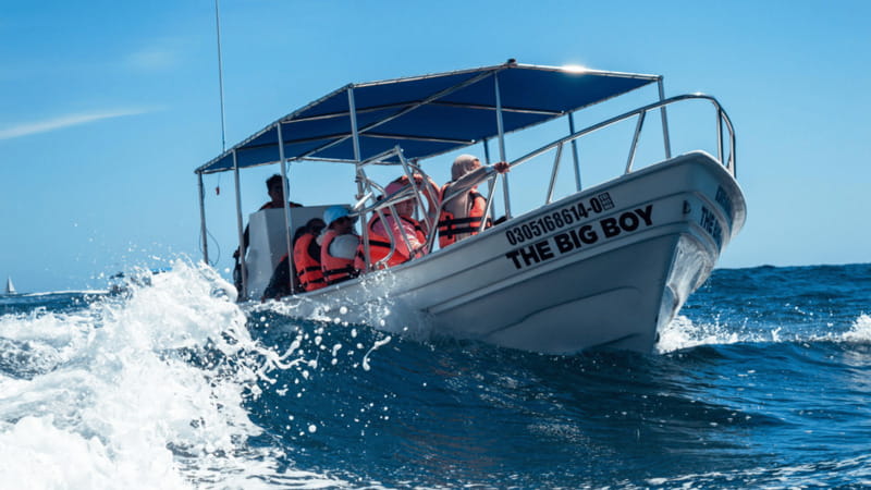 Cabo San Lucas: Tour paseo al Arco + bajada en playa - Key points to know before you go