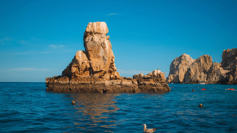 Cabo San Lucas: Tour paseo al Arco + bajada en playa - What the $11 Cabo boat ride really gives you