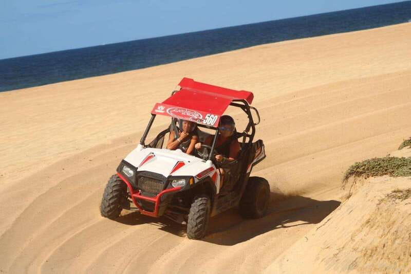 Cabo San Lucas: UTV Razor Tour of Migriño Desert and Beach - Who will enjoy this Cabo adventure?
