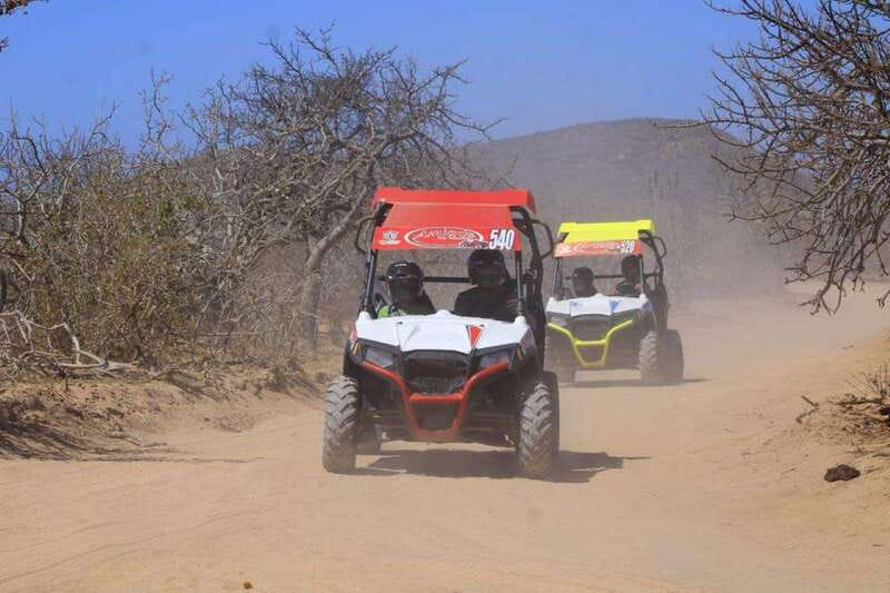 Cabo San Lucas: UTV Razor Tour of Migriño Desert and Beach - Should you book the Migriño RZR tour?