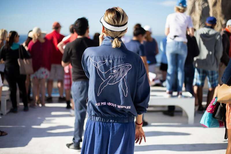 Cabo San Lucas: Whale Watching Breakfast Cruise - Cabo’s Arch comes first