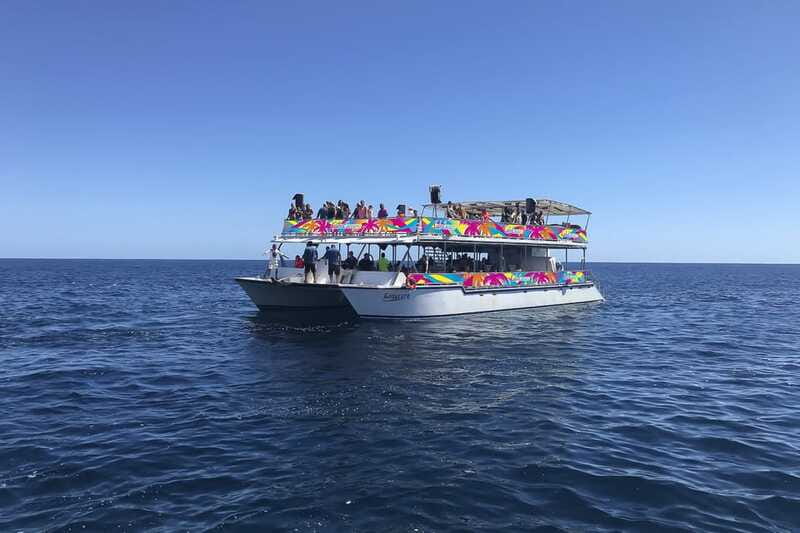 Cabo San Lucas: Whale Watching Breakfast Cruise - Who will enjoy this Cabo cruise most