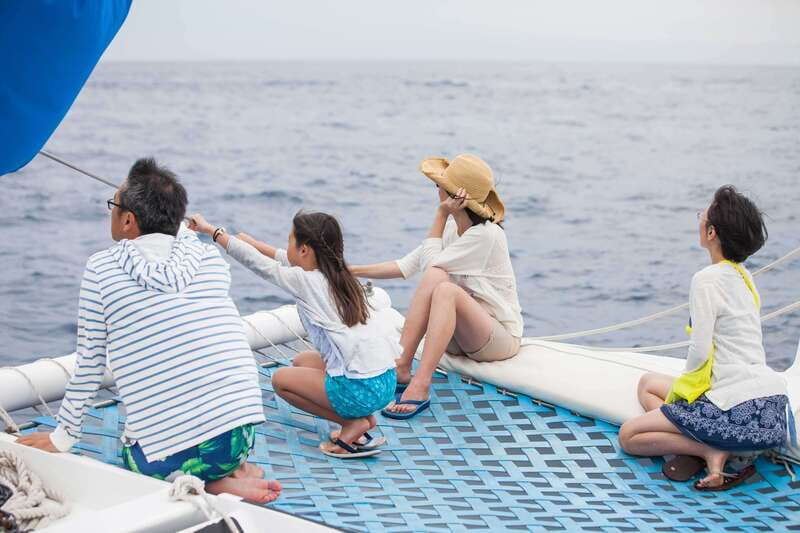 Cabo San Lucas: Whale Watching Catamaran Experience - How to get the best day on the water