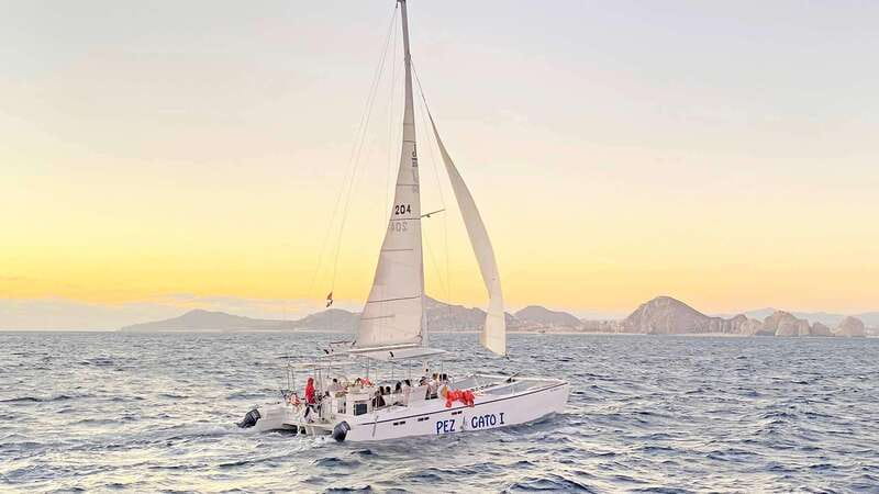 Cabo San Lucas: Whale Watching Experience on Catamaran - Who will enjoy this catamaran outing