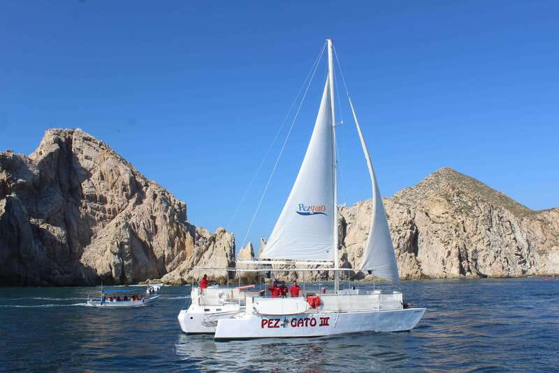 Cabo San Lucas: Whale Watching Experience on Catamaran - A practical plan for the day