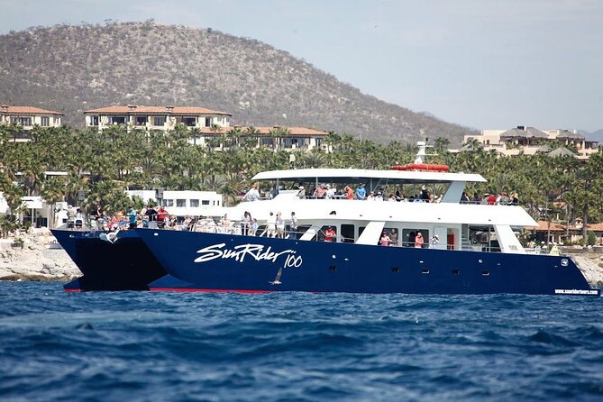 Cabo San Lucas Whale Watching Lunch Cruise - Why Whale Season Changes the Cabo Experience