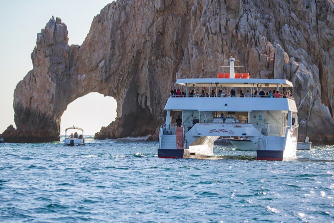 Cabo San Lucas Whale Watching Lunch Cruise - How the $115 Price Adds Up