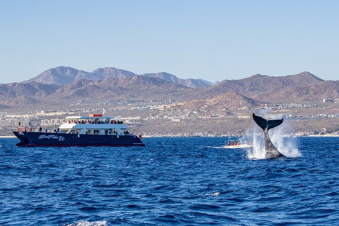 Cabo San Lucas Whale Watching Lunch Cruise - El Arco: The First Photo Stop