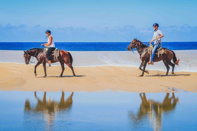 Cabo Shore Excursion: Beach Horseback Ride & Tequila Tasting - From Cabo to the cactus trails near Migrino