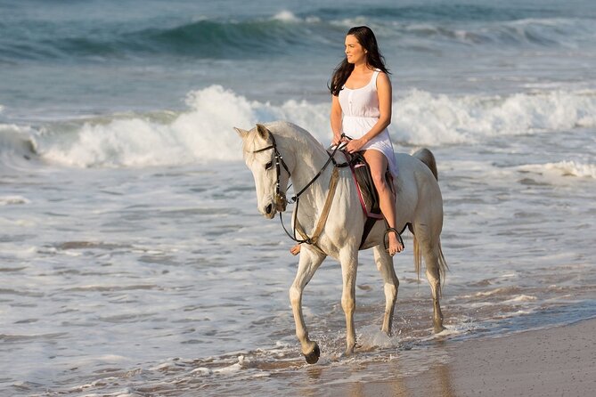Cabo Shore Excursion: Beach Horseback Ride & Tequila Tasting - What Los Cabos and El Arco mean on the route