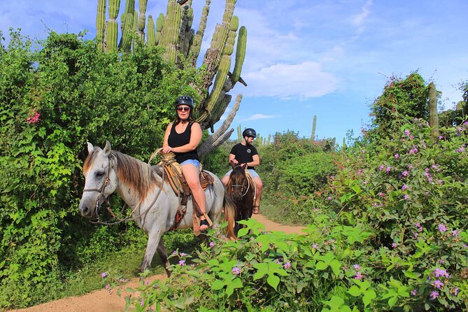 Cabo Shore Excursion: Beach Horseback Ride & Tequila Tasting - The real price: $70 plus the park fee