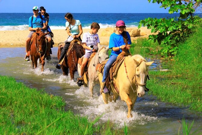 Cabo Shore Excursion: Beach Horseback Ride & Tequila Tasting - Timing for cruise passengers